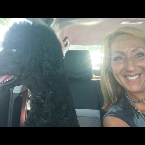 Meet your Posher, Ronda - Picture 6 of 8